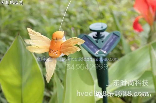 太陽能蝴蝶與蜂鳥 義烏直銷點亮戶外裝飾與創意禮品新潮流