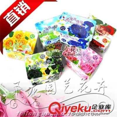 沭陽飛龍園藝 廠家直銷新奇特禮品盆栽——浪漫黑玫瑰園